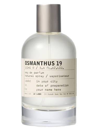 Osmanthus 19 Kyoto - اسمانتوس 19 کیوتو