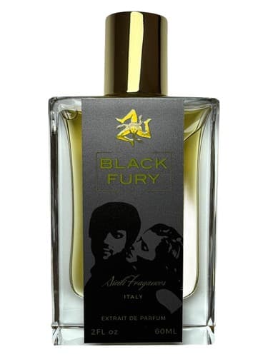 Black Fury - خشم بلک
