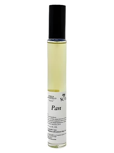 Pan - پان