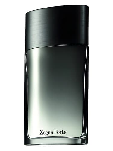 Zegna Forte - زگنا فورته