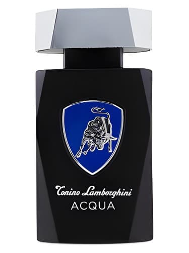 Acqua 