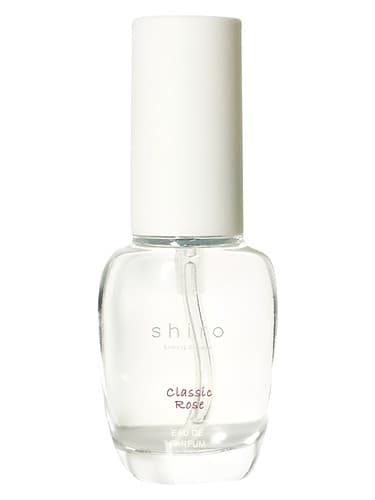 Classic Rose - رز کلاسیک