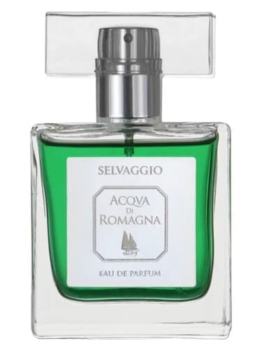 Selvaggio - سلواجو