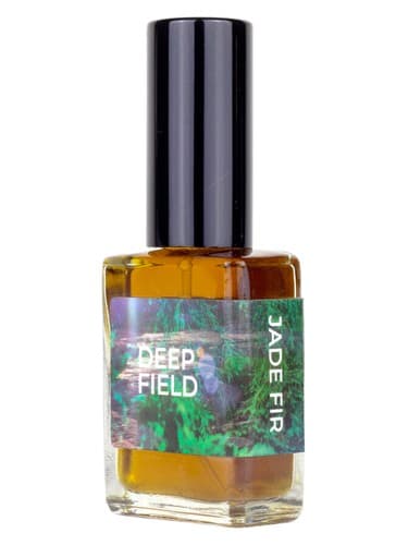 Jade Fir - صنوبر یشم