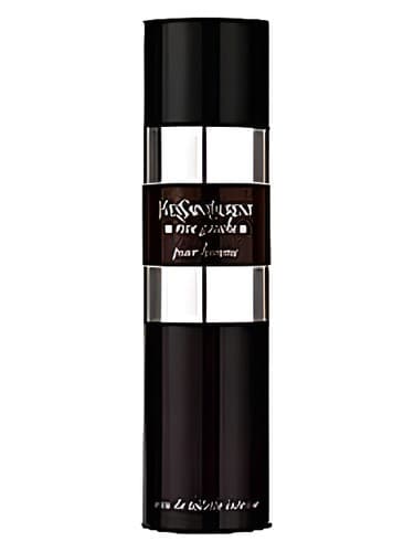 Rive Gauche Pour Homme Intense - ریو گوش پور هوم اینتنس