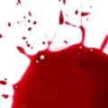 Blood