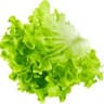 Lettuce