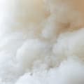 Steam Accord