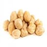 Candlenut