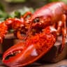 Crustaceans