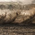 Dirt