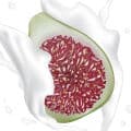 Fig Milk