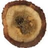 Australian Oud