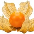 Goldenberry