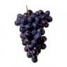 Pinot Noir grapes