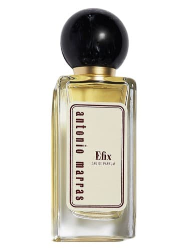 Efix