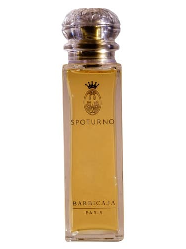 Barbicaja