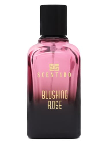 Blushing Rose