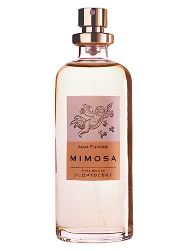 Mimosa