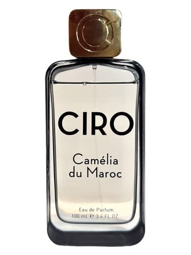 Camélia du Maroc