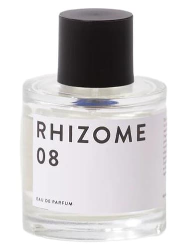 Rhizome 08