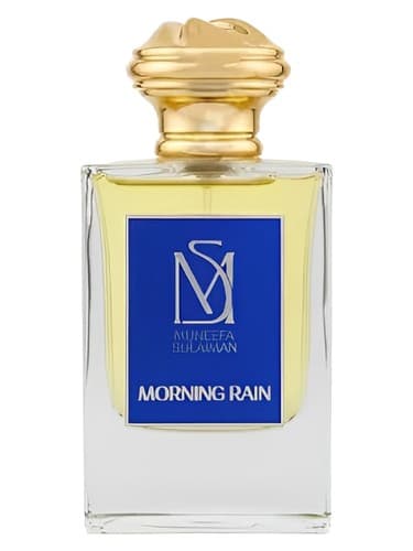 Morning Rain