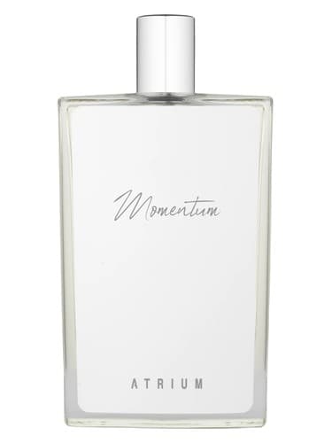 Momentum