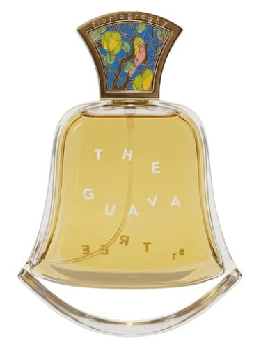 No. 97 The Guava Tree