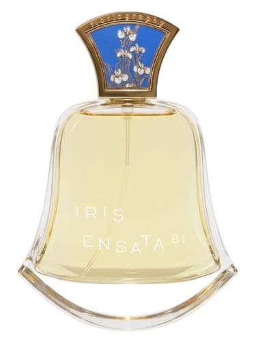 No. 18 Iris Ensata