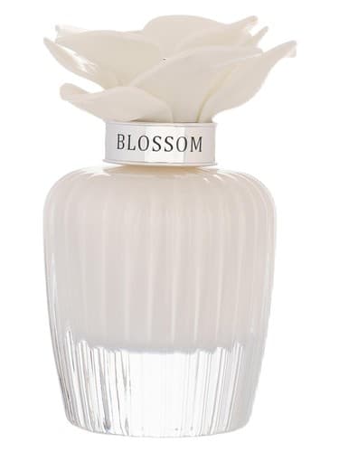 Nasma White Blossom