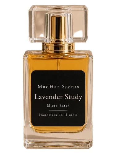 Lavender Study