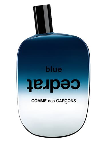 Blue Cedrat