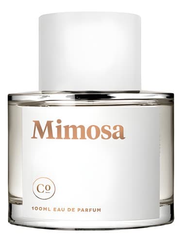 Mimosa