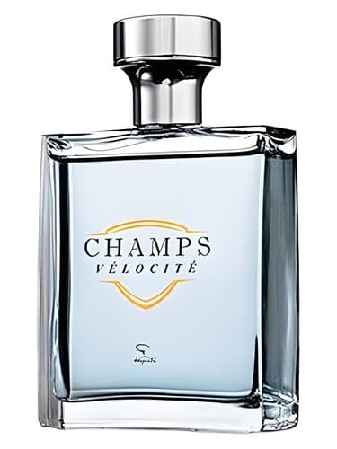 Champs Velocite