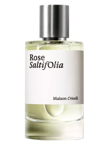 Rose SaltifOlia