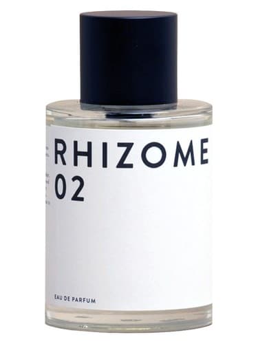 Rhizome 02