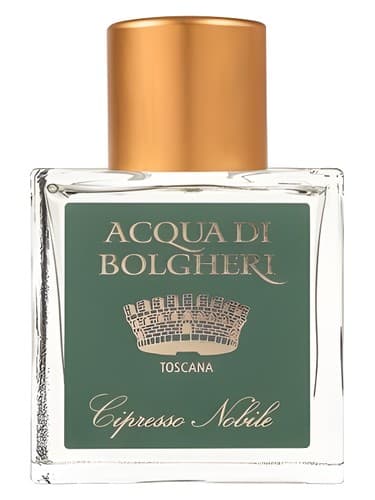 Cipresso Nobile
