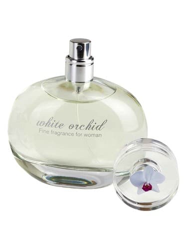 White Orchid