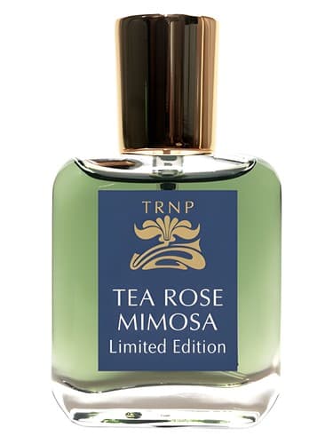 Tea Rose Mimosa - Limited Edition