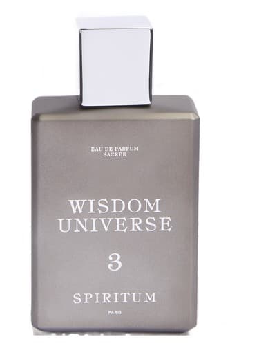 3 Wisdom Universe