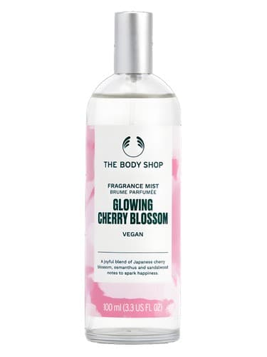 Glowing Cherry Blossom