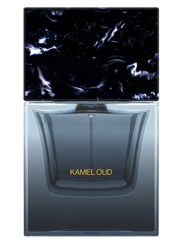 Kamel Oud