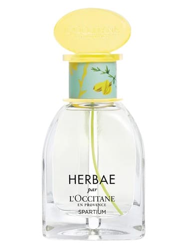 Herbae Spartium