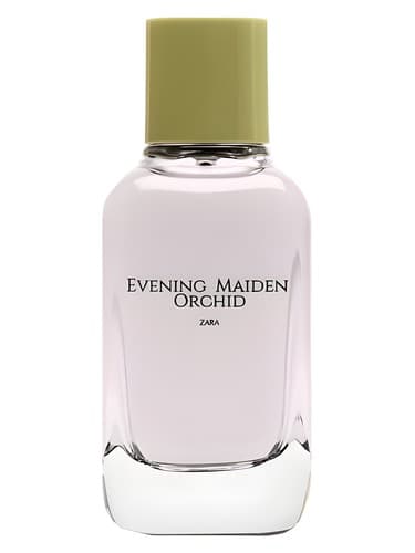 Evening Maiden Orchid