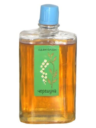 Черемуха