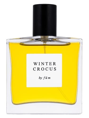 Winter crocus