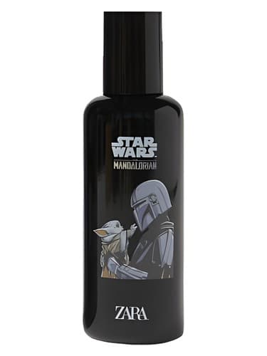 Star Wars The Mandalorian