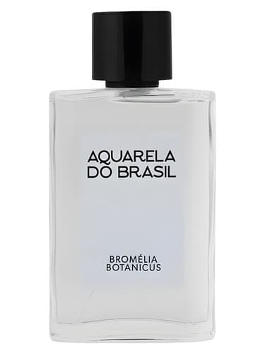 Bromélia Botanicus