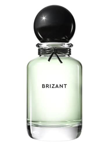 Brizant